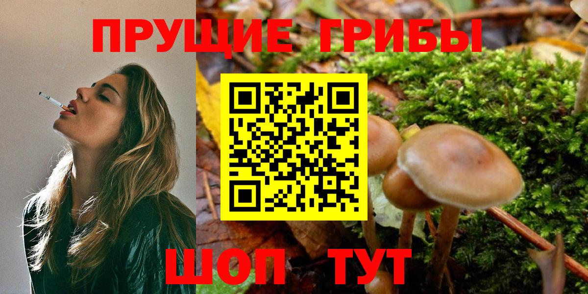 Галлюциногенные грибы GOLDEN TEACHER Печора