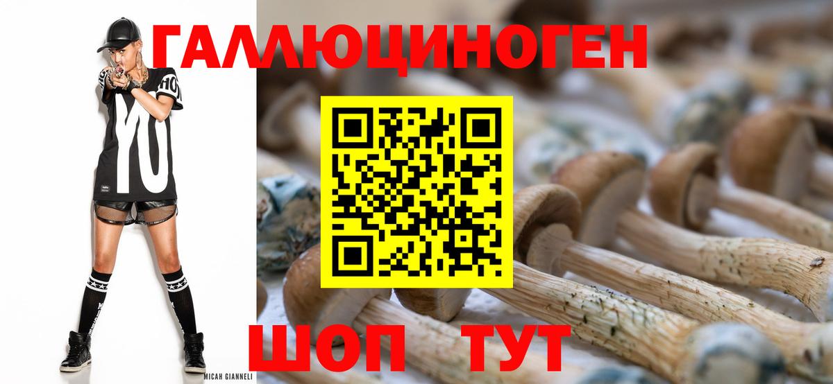 Псилоцибиновые грибы Psilocybe  Вход с VPN  продажа наркотиков  Печора 